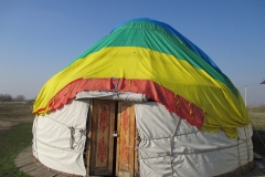 11073348_10205040807274583_9184835062301391146_o